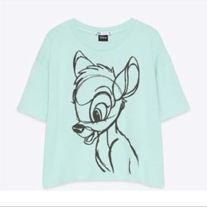 Zara Bambi Pistachio Crop Top